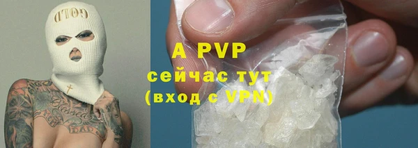 стаф Володарск