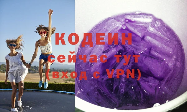 шишки Корсаков