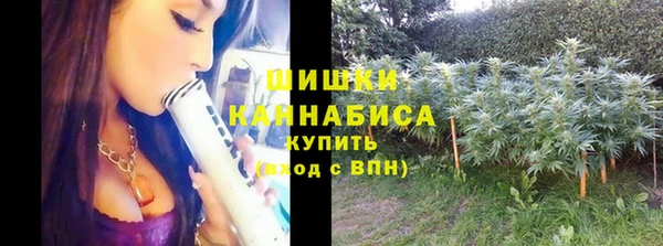стаф Володарск