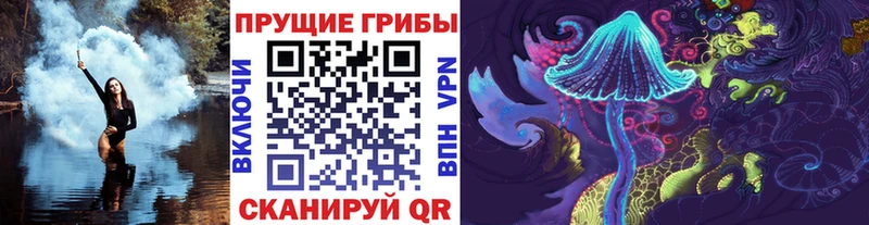 Галлюциногенные грибы прущие грибы  Междуреченск 