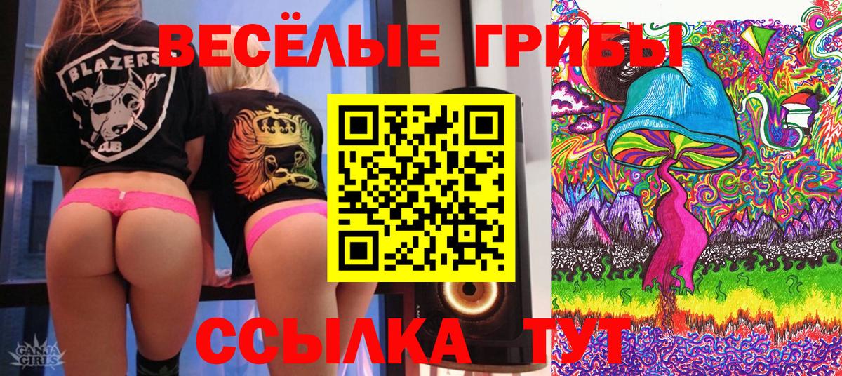 Галлюциногенные грибы GOLDEN TEACHER Междуреченск