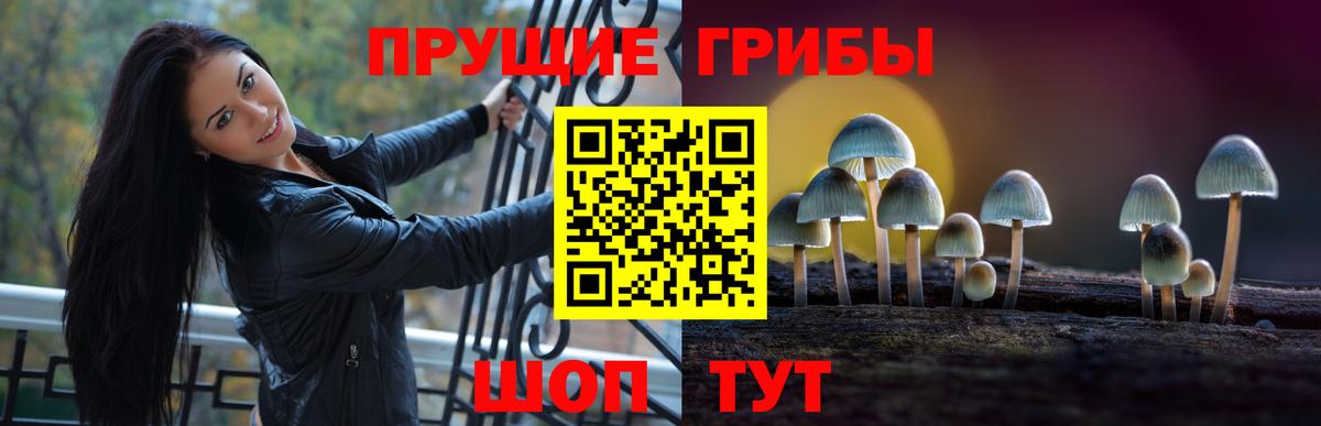 Галлюциногенные грибы Magic Shrooms  Галлюциногенные грибы Cubensis  как найти наркотики  Междуреченск 